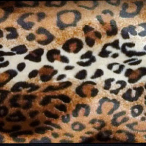 335 Leopard